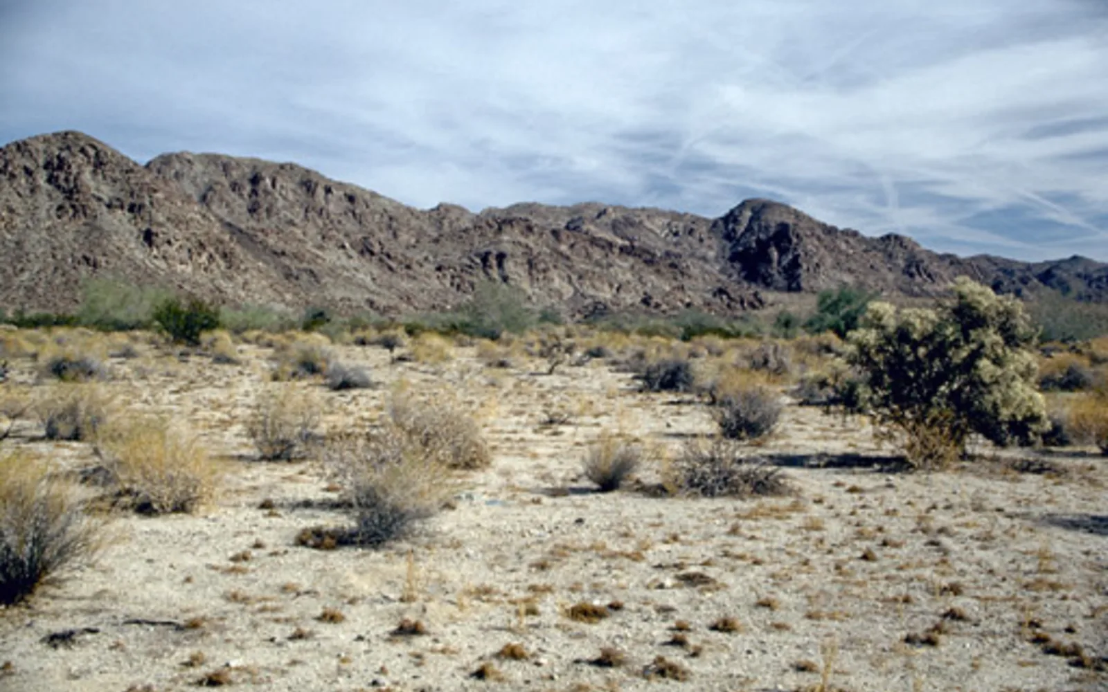 Scenic view of the Colorado Desert landscape with mountains and arid terrain