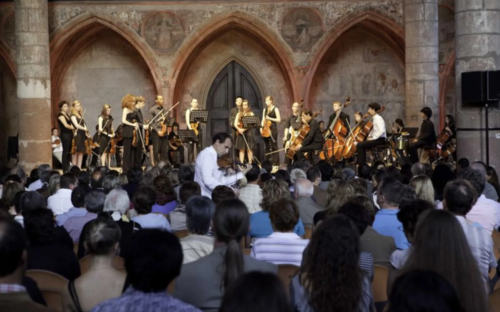 Musician performing with violin at an outdoor music festival setting
